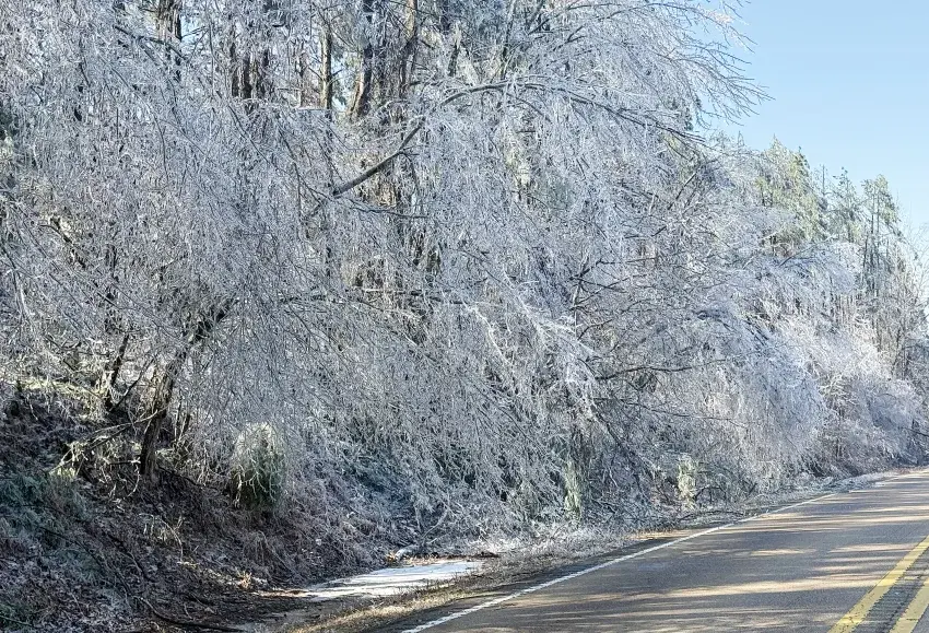 UPDATED: Interstate 55 northbound lanes closed from Exit 206 in